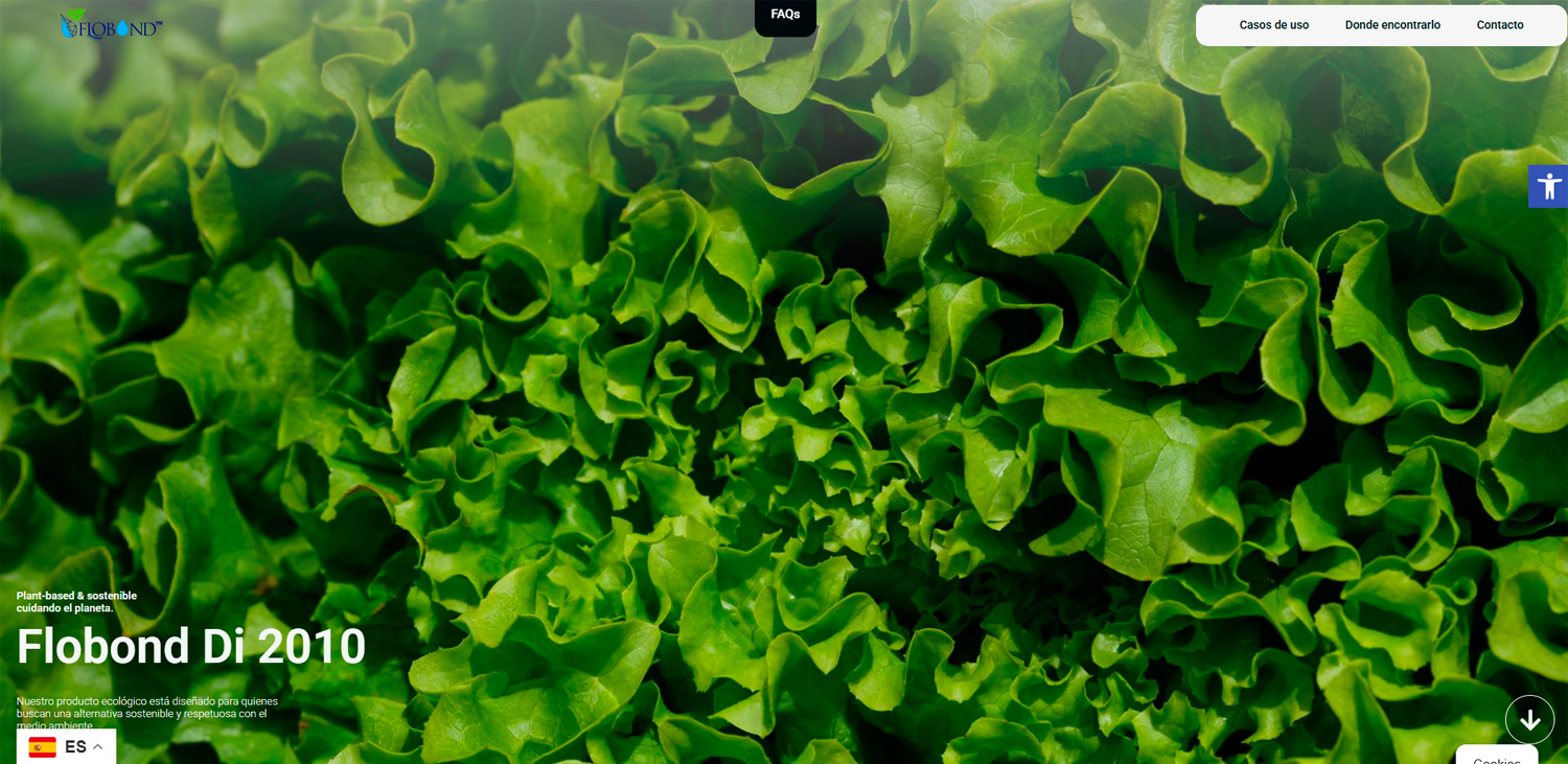 Proyecto web de Flobond desarrollado por OliGar