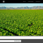 Portada del proyecto Ibarramou, desarrollado por OliGar